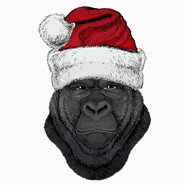 Gorilla head. Christmas red Santa Claus hat. Christmas winter animal vector portrait. — Stock Vector