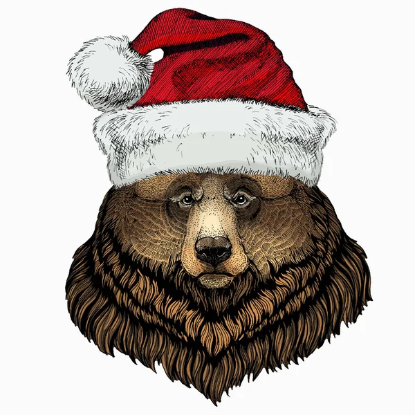 Bear wild animal face. Christmas red Santa Claus hat. Christmas winter animal vector portrait. — Vector de stock