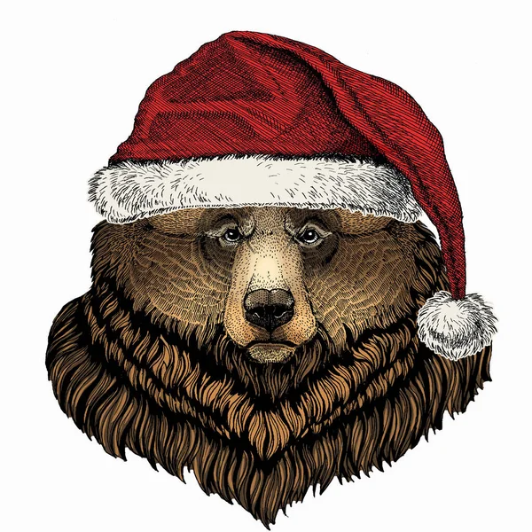 Bärengesicht. Weihnachten rote Nikolausmütze. Weihnachten Winter Tier Vektor Porträt. — Stockvektor
