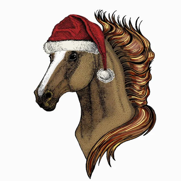 馬の頭馬の肖像画。クリスマスの赤いサンタクロースの帽子。クリスマス冬の動物ベクトル肖像. — ストックベクタ