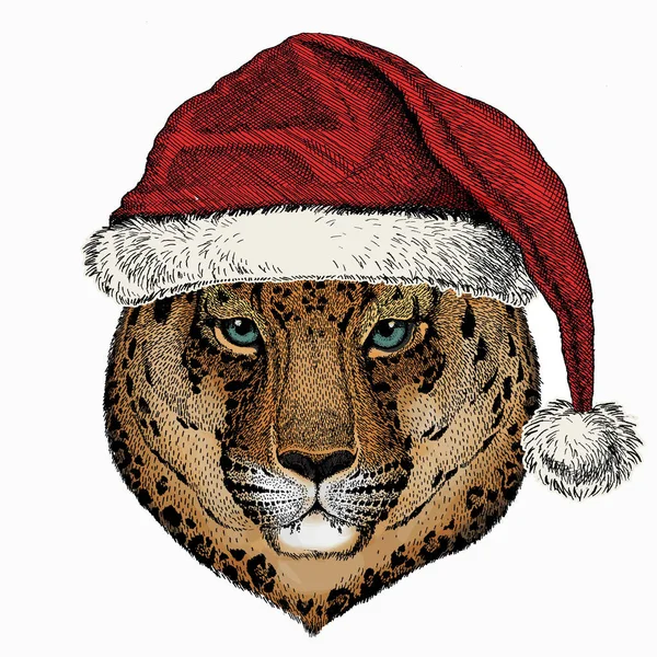 Κεφάλι λεοπάρδαλης. Χριστουγεννιάτικο κόκκινο καπέλο του Άη Βασίλη. Αγριόγατα. Χριστούγεννα χειμώνα ζώο διάνυσμα πορτρέτο. — Διανυσματικό Αρχείο
