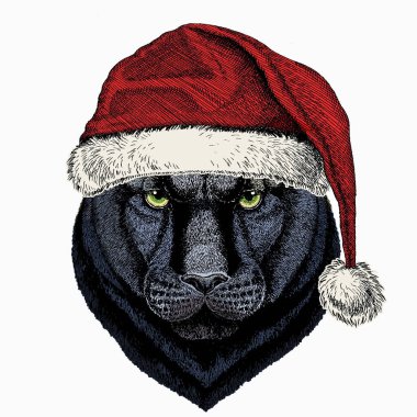 Kara Panter. Noel Baba 'nın kırmızı şapkası. Vahşi kedi portresi.