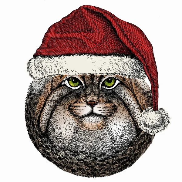 Παλιόγατα. Χριστουγεννιάτικο κόκκινο καπέλο του Άη Βασίλη. Χριστούγεννα χειμώνα ζώο διάνυσμα πορτρέτο. — Διανυσματικό Αρχείο