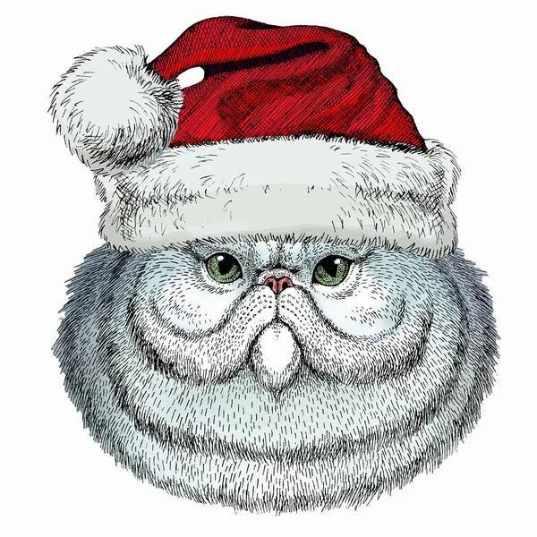 Πορτρέτο της περσικής γάτας. Χριστουγεννιάτικο κόκκινο καπέλο του Άη Βασίλη. Διάνυσμα κεφαλής γάτας, πρόσωπο. — Διανυσματικό Αρχείο