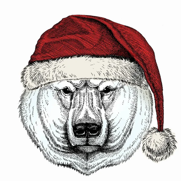Tête d'ours polaire. Portrait animal vecteur. — Image vectorielle