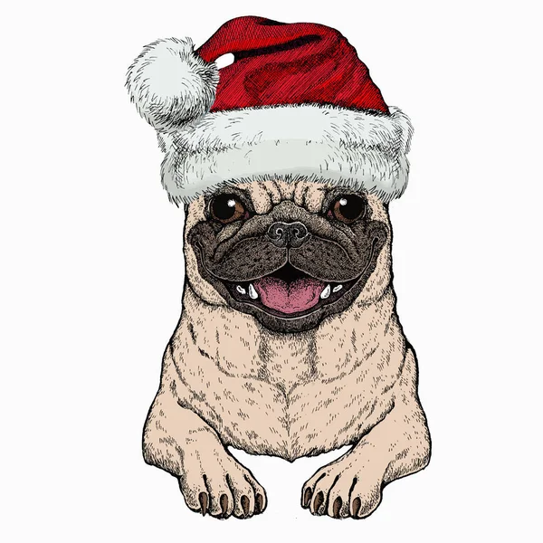 Vektor mopsz, kutya portré. Karácsonyi piros Mikulás kalap. Állatfej, arc. — Stock Vector