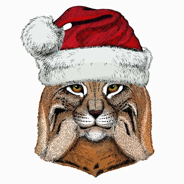 Lynx, bobcat. Kerst rode Kerstman hoed. Wilde kat. Vectorportret van kattenkop. — Stockvector