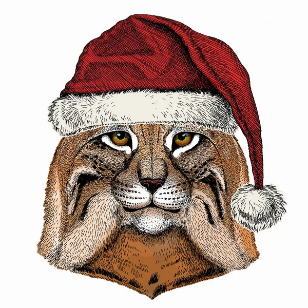 Lynx, bobcat. Kerst rode Kerstman hoed. Wilde kat. Vectorportret van kattenkop. — Stockvector