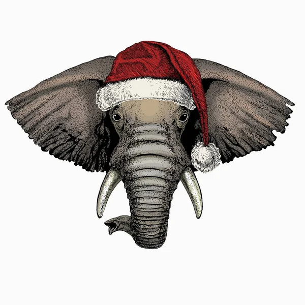 Afrikaanse olifant vector portret. Kerst rode Kerstman hoed. Dierlijk gezicht, hoofd. — Stockvector