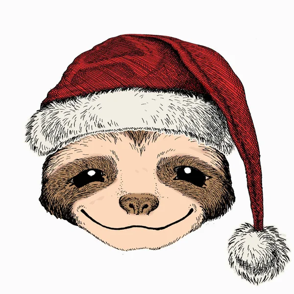 Smiling sloth face, vector portrait of sloth. Christmas red Santa Claus hat. Animal portrait — Stock Vector