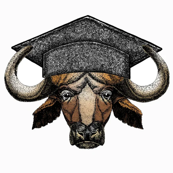 Buffalo Bison mascot head. Square academic cap, graduate cap, cap, mortarboard. Animal portrait. — Vector de stock