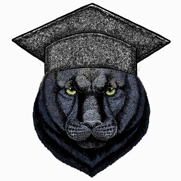 Black panther. Square academic cap, graduate cap, cap, mortarboard. Wild cat portrait. — Vector de stock