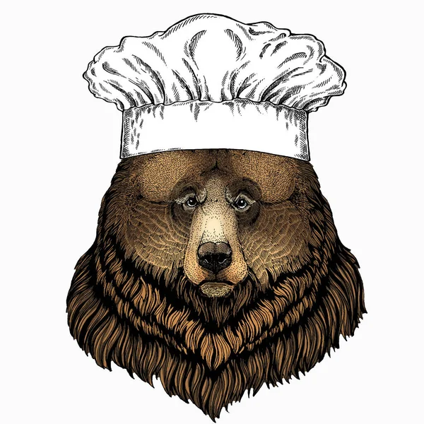 Wild bear portrait. Chef cook hat. Restaurant logo. Animal head. Grizzly bear. — Stock Vector