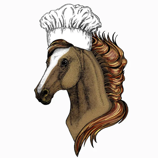 Lófej, lóportré. Séf szakács kalap. Éttermi logó. Állati arc logóhoz, emblémához, pólóhoz. — Stock Vector