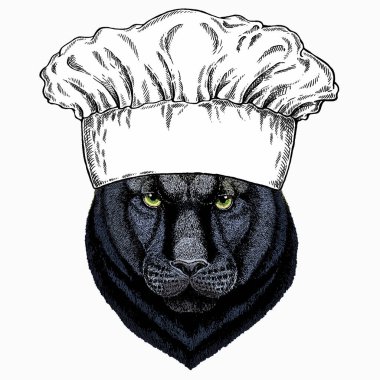 Kara Panter. Aşçı şapkası. Restoran logosu. Vahşi kedi portresi.