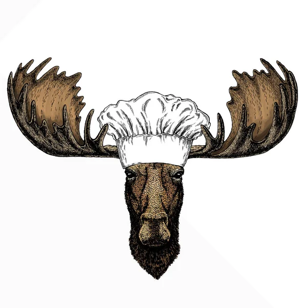 Vector wilde eland, eland portret. Koksmutsen. Restaurant logo. Eland hoofd, gezicht. — Stockvector