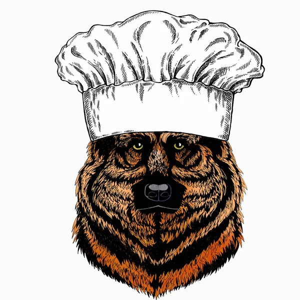 Retrato vetorial Shepherd Dog. Chapéu de cozinheiro Chef. Logótipo do restaurante. Cabeça de cão, cara. —  Vetores de Stock