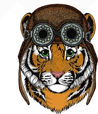 Yavru kaplan, çocuklar için küçük bir kaplan. Havacı motosiklet kaskı ve gözlük.