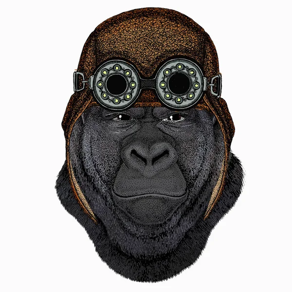 Gorillakopf. Vektorillustration. Wildes Tierporträt. Flieger Motorradhelm mit Brille — Stockvektor