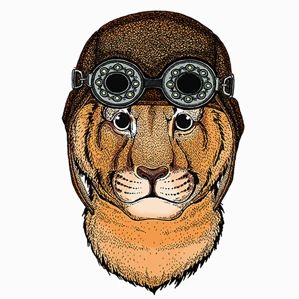 Vector portait of small baby lion head, face. Safari animal. Aviator motorcycle biker helmet with glasses — Archivo Imágenes Vectoriales