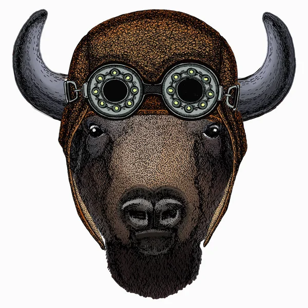 Vector bison head. Portrait of bull, buffalo. Aviator motorcycle biker helmet with glasses —  Vetores de Stock