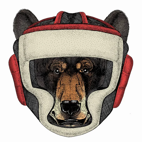 Ours visage d'animal sauvage. Grizzly mignon portrait tête d'ours brun. Casque boxeur pour animaux. — Image vectorielle