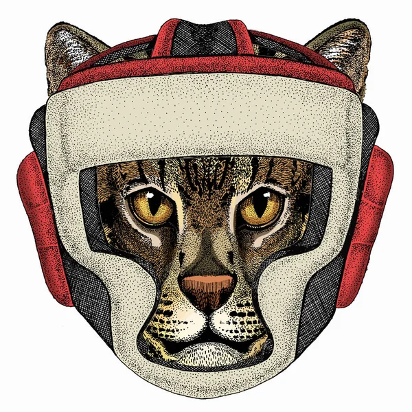 Портрет дикого рибальського кота. Обличчя тварин. Тварини в боксерському шоломі . — стоковий вектор