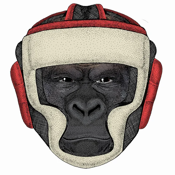 Gorilla hoofd. Vector illustratie. Wild dierenportret. Dier met bokshelm. — Stockvector