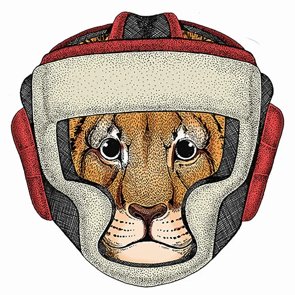 Vector portait of small baby lion head, face. Safari animal. Animal wearing boxer helmet. — Stockvector