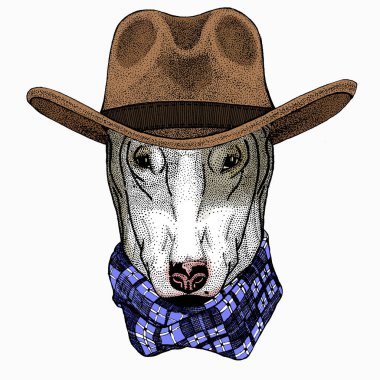 Köpek portresi, bullterrier portresi, bullterrier kafası, köpek kafası.