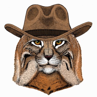 Luchs, vaşak. Vahşi kedi. Kedi başının vektör portresi.