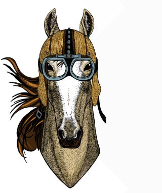 At kafası, at portresi. Logo, amblem ve tişört için hayvan yüzü..