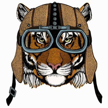 Vektör kaplan portresi. Hayvan kafası..