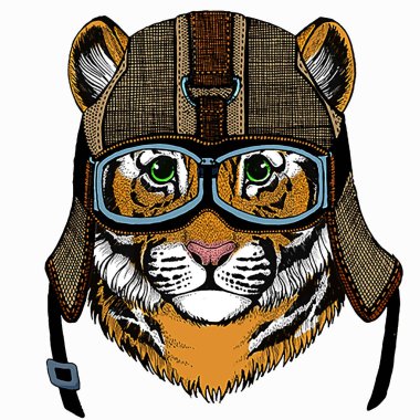 Yavru kaplan, çocuklar için küçük kaplan..