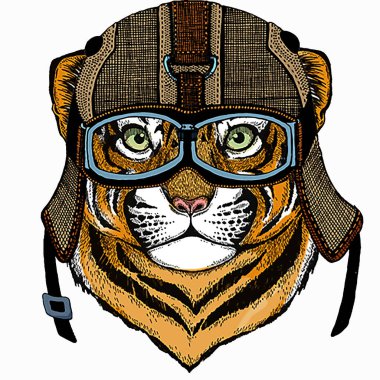 Yavru kaplan, çocuklar için küçük kaplan..