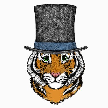 Yavru kaplan, çocuklar için küçük kaplan..