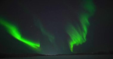 Kuzey ışıkları İzlanda Kutup Işıkları Borealis 4k Kutup Animasyonu. Rus kuzeyi. Murmansk