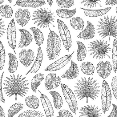 Tropikal yapraklı vektör deseni. Palmiye ağacı. Philodendron. Şirin bağbozumu bahçesi..