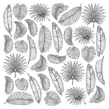 Tropikal yapraklı vektör deseni. Palmiye ağacı. Philodendron. Şirin bağbozumu bahçesi..