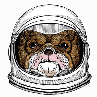 Bulldog portresi. Köpek kafası. Hayvan suratlı. Astronot hayvan. Vektör portresi. Cosmos ve Spaceman. Ay 'a seyahat hakkında bir uzay çizimi. Komik bir el çizimi..