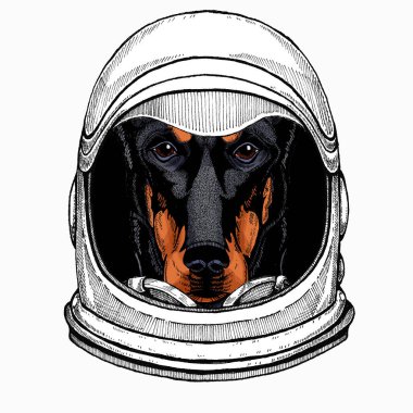 Kaptan şapkalı, güneş gözlüklü bir Doberman portresi. Vektör çizimi. Astronot hayvan. Vektör portresi. Cosmos ve Spaceman. Ay 'a seyahat hakkında bir uzay çizimi. Komik bilimsel el çizimi