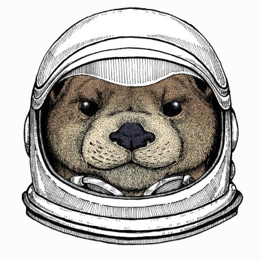 Su samurunun portresi. Vahşi hayvanların başı. Astronot hayvan. Vektör portresi. Cosmos ve Spaceman. Ay 'a seyahat hakkında bir uzay çizimi. Komik bir el çizimi..