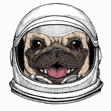 Vektör pug, köpek portresi. Hayvan kafası, yüz. Astronot hayvan. Vektör portresi. Cosmos ve Spaceman. Ay 'a seyahat hakkında bir uzay çizimi. Komik bir el çizimi..