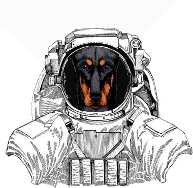 Uzay giysisi içinde vahşi bir astronot. Derin uzay. Galaksi. Kaptan şapkalı, güneş gözlüklü bir Doberman portresi. Vektör illüstrasyonu.
