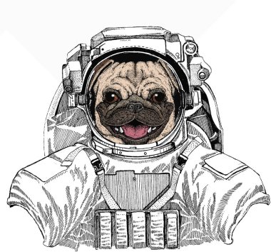 Vektör pug, köpek portresi. Uzay giysisi içinde vahşi bir astronot. Derin uzay. Galaksi. Hayvan kafası, yüz..