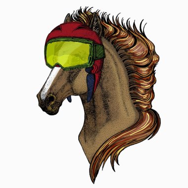 At kafası, at portresi. Logo, amblem ve tişört için hayvan yüzü..