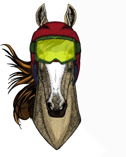 Cabeza de caballo, retrato de caballo. Cara de animal para logo, emblema, camiseta. — Vector de stock