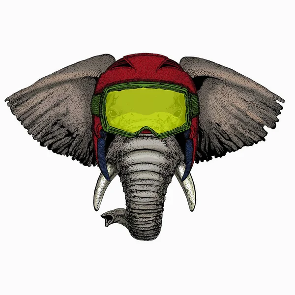 Portrait vectoriel d'éléphant d'Afrique. Visage animal, tête. — Image vectorielle