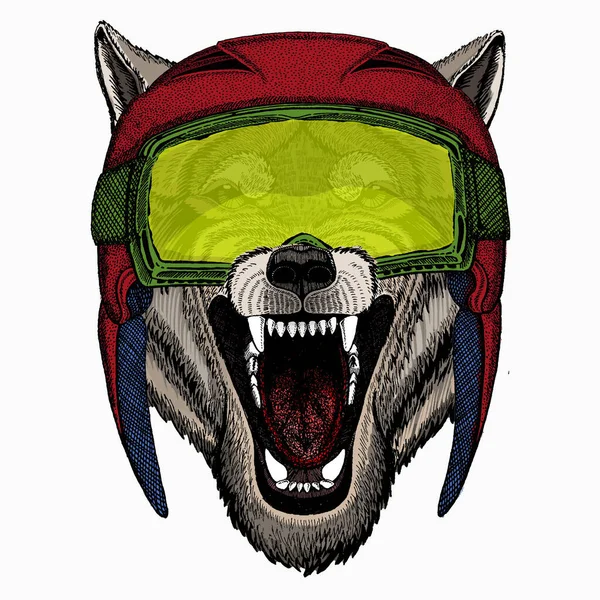 Vectorportret van wolf. Leuke wilde wolf. Dierlijke kop. — Stockvector