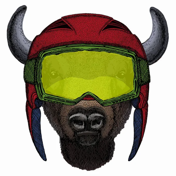 Cabeça de bisonte vetorial. Retrato de touro, búfalo. —  Vetores de Stock